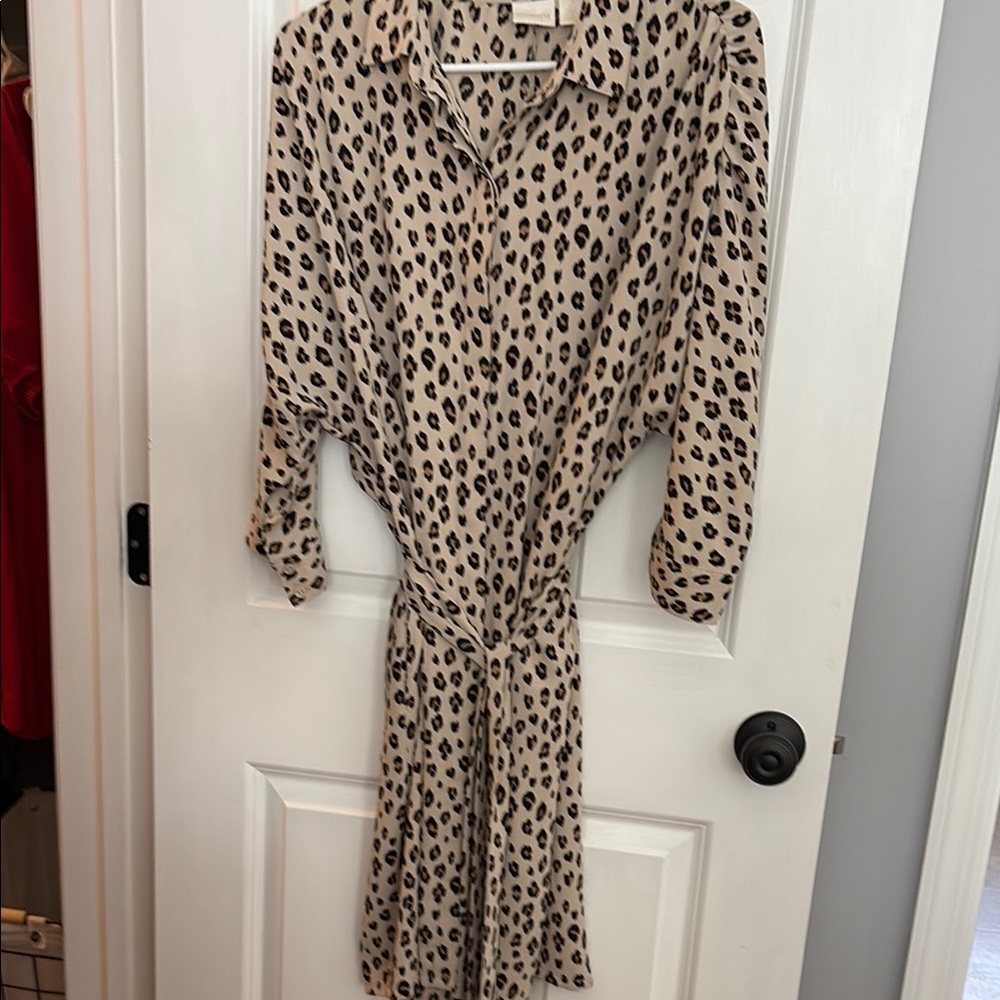 Leopard Print Women's Dress